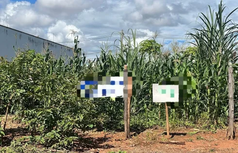 Terreno em Jardim Botânico, Uberlândia