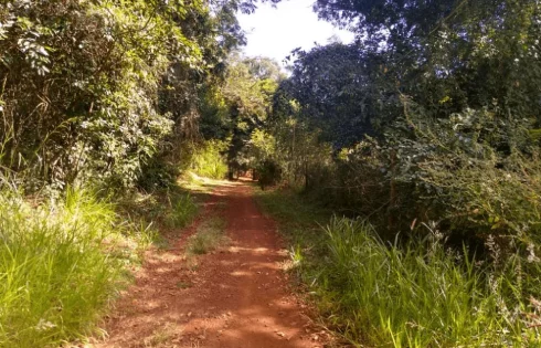 Minas Gerais, Uberlândia
