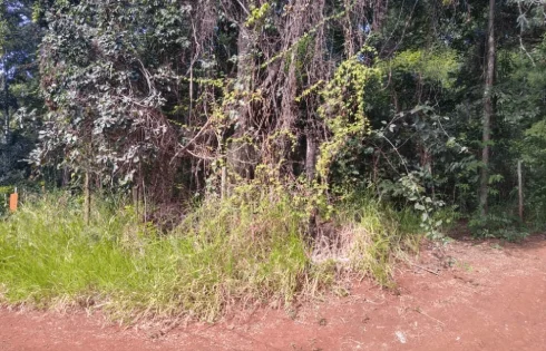 Chácara em Minas Gerais, Uberlândia