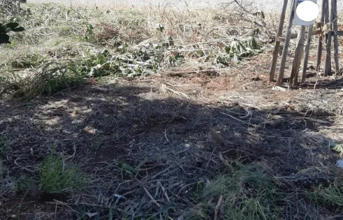 Terreno em Independência, Ituiutaba