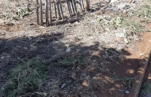 Thumbnail 7
