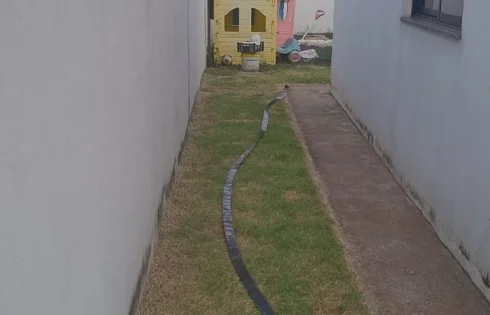 Casa em Jardim Patricia, Uberlândia