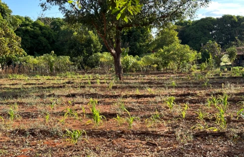 Chácara em Panorama, Uberlândia