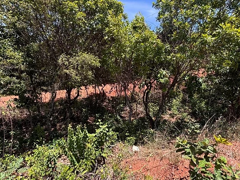 Terreno em Recanto Dos Amigos, Uberlândia