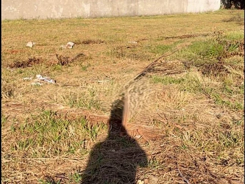Terreno em Morada Dos Pássaros, Uberlândia