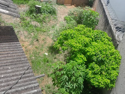 Casa em Luizote De Freitas, Uberlândia