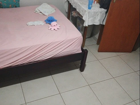 Casa em Jardim Das Palmeiras, Uberlândia