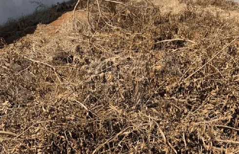 Terreno em Jardim Karaíba, Uberlândia