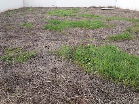 Terreno em Nova Uberlândia, Uberlândia