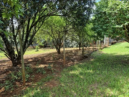 Casa em Mansões Aeroporto, Uberlândia