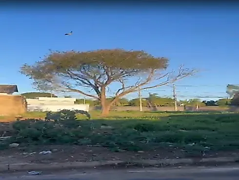 Terreno com 0 quartos em Jardim Ipanema, Uberlândia