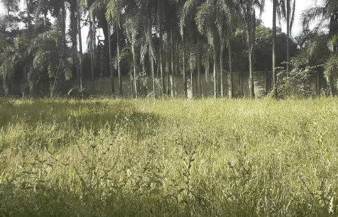 Terreno em Morada Nova, Uberlândia