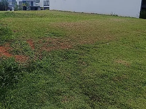 Terreno com 0 quartos em Novo Mundo, Uberlândia