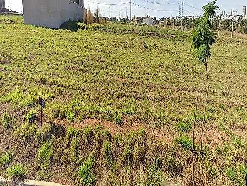 Terreno com 0 quartos em Jardim Sul, Uberlândia