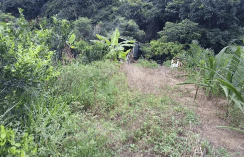 Terreno em Zona Rural Uberlândia, Uberlândia