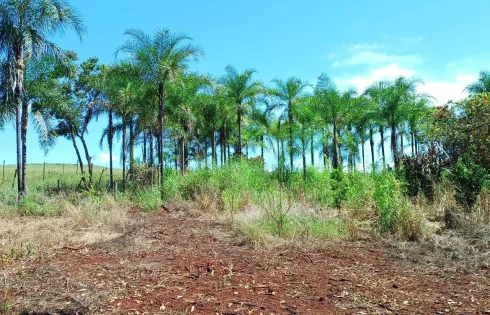 Chácara em Tapuirama, Uberlândia