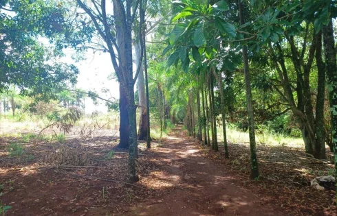 Chácara em Tapuirama, Uberlândia