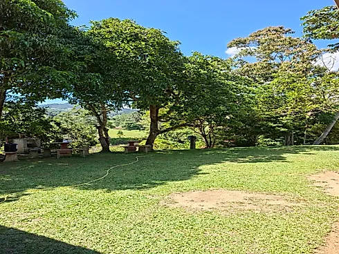 Chacara 4000mts para Venda em Paraibuna - Foto 20