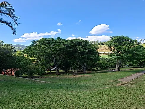 Chacara 4000mts para Venda em Paraibuna - Foto 22