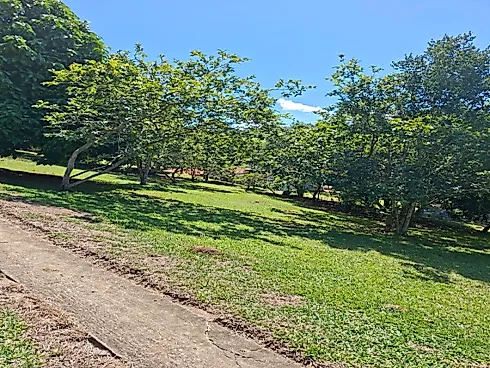 Chacara 4000mts para Venda em Paraibuna - Foto 23
