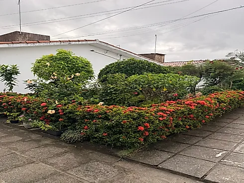Casa para Locação - Foto 5