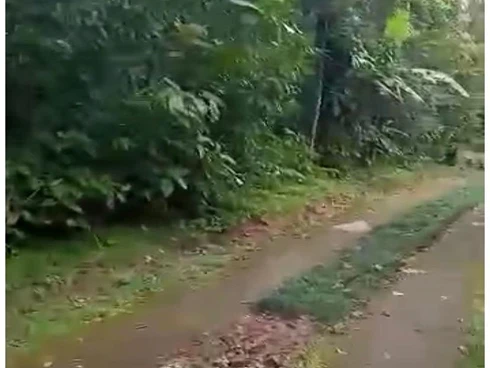 Terreno em Sertão do Camburi, São Sebastião