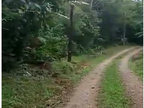 Terreno em Sertão do Camburi, São Sebastião