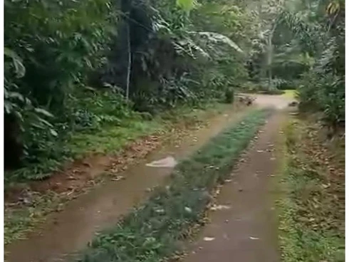 Terreno em Sertão do Camburi, São Sebastião