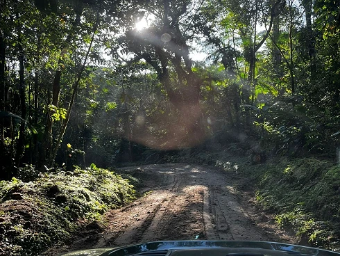 Terreno em Sertão do Camburi, São Sebastião