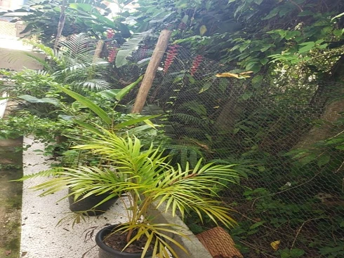 Sobrado em Sertão do Camburi, São Sebastião