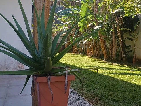 A Venda, Boiçucanga, Oportunidade Terreno de Esquina, Casa com Jardim. - Foto 49