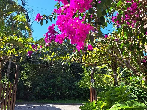 Sobrado em Baleia, São Sebastião