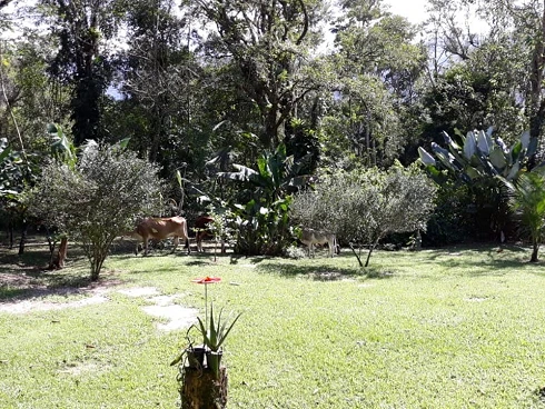 A Venda Barra do Una - Foto 17