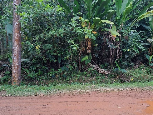 Terreno em Sertão do Camburi, São Sebastião