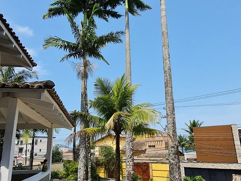 Temporada Nesta Casa Incrível em Juquehy - Verão 2026/2027 - Foto 23