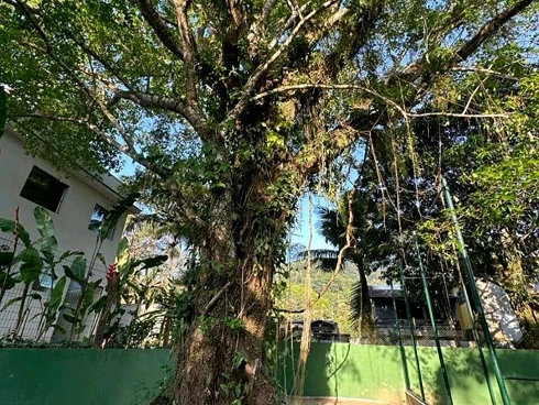 Maresias em Condomínio à Venda ou Locação Temporada - Foto 22
