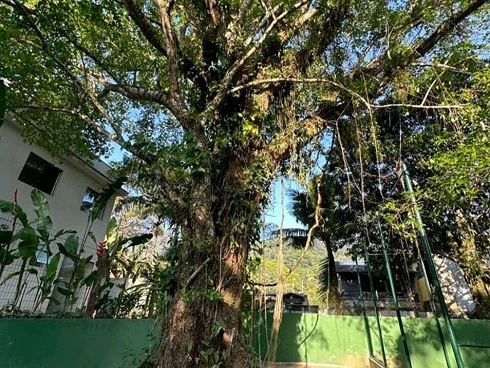 Maresias em Condomínio à Venda ou Locação Temporada - Foto 30