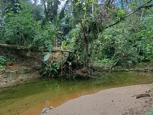 Piavú - Condomínio Ecológico - Última Unidade com Preço Abaixo da Tabela - Foto 11