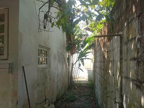Cambury 100m da Praia, à Venda Oportunidade Única - Foto 16