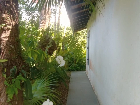 Casarão com Piscina, à Venda em Cambury - Apenas 400m da Praia. - Foto 15