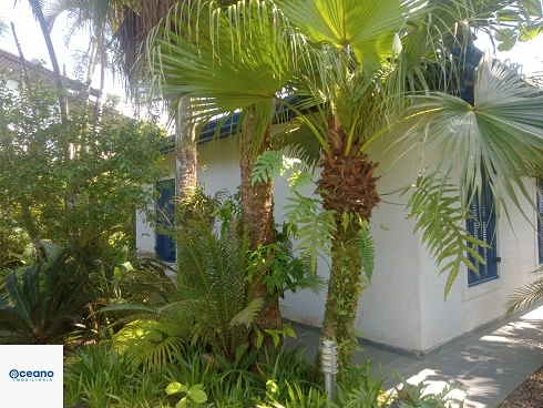 Casarão com Piscina, à Venda em Cambury - Apenas 400m da Praia. - Foto 16