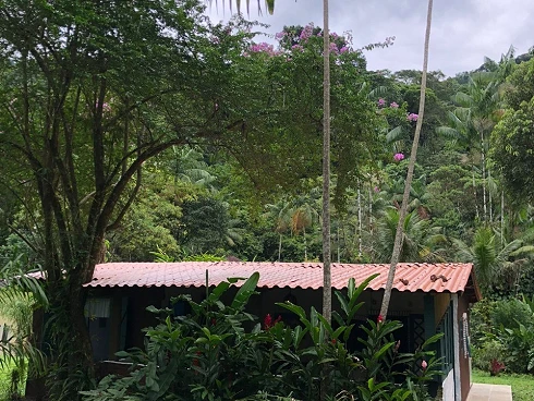 Um Verdadeiro Refúgio na Mata em Boiçucanga - Foto 13