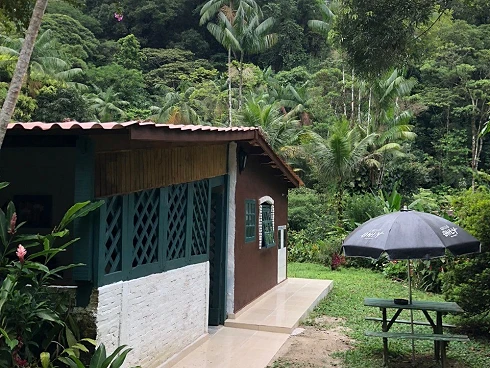 Um Verdadeiro Refúgio na Mata em Boiçucanga - Foto 15