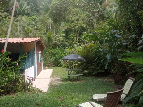 Um Verdadeiro Refúgio na Mata em Boiçucanga - Foto 6