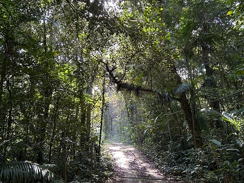 A Venda. Refúgio Exclusivo na Mata Atlântica. - Foto 23