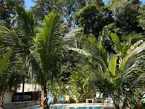 A Venda. Refúgio Exclusivo na Mata Atlântica. - Foto 26