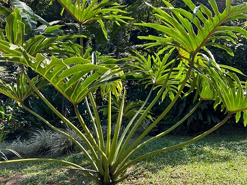 A Venda. Refúgio Exclusivo na Mata Atlântica. - Foto 28