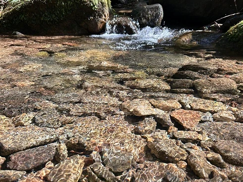 A Venda. Refúgio Exclusivo na Mata Atlântica. - Foto 30