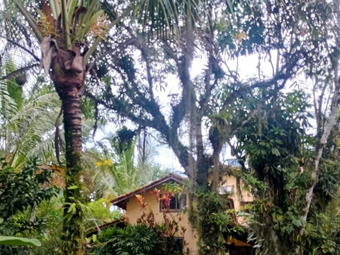 Oportunidade Imperdível para Compra de Terreno em Camburizinho - Foto 11