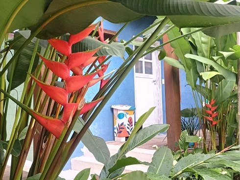Oportunidade Imperdível para Compra de Terreno em Camburizinho - Foto 14